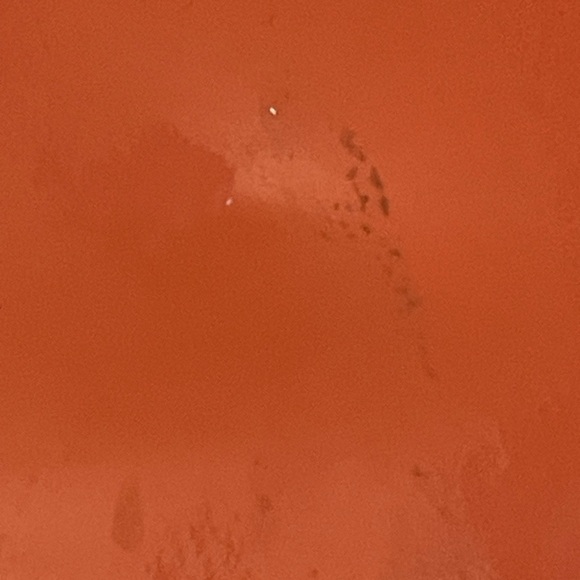 Dooney & Bourke Vibrant Melon Patent Leather Crossbody Bag - Picture 7 of 9